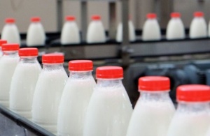 Считывание / верификация кодов Datamatrix при печати в типографиях